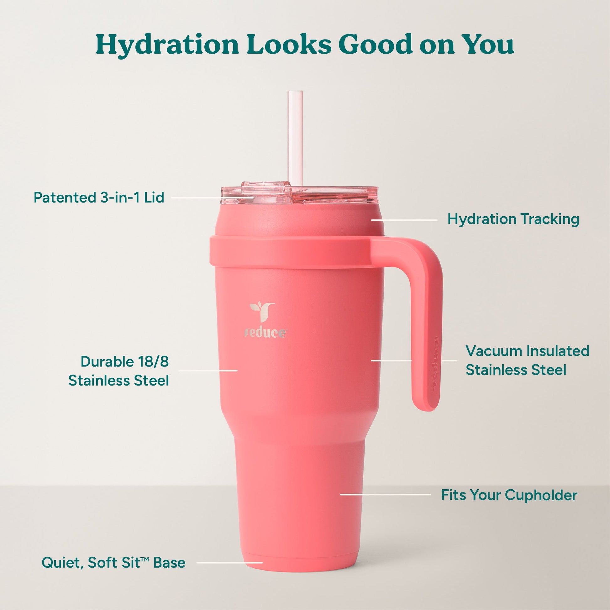 cold1-40-oz-h1 Cold1_40oz_Daiquiri_Infographic_2.jpg