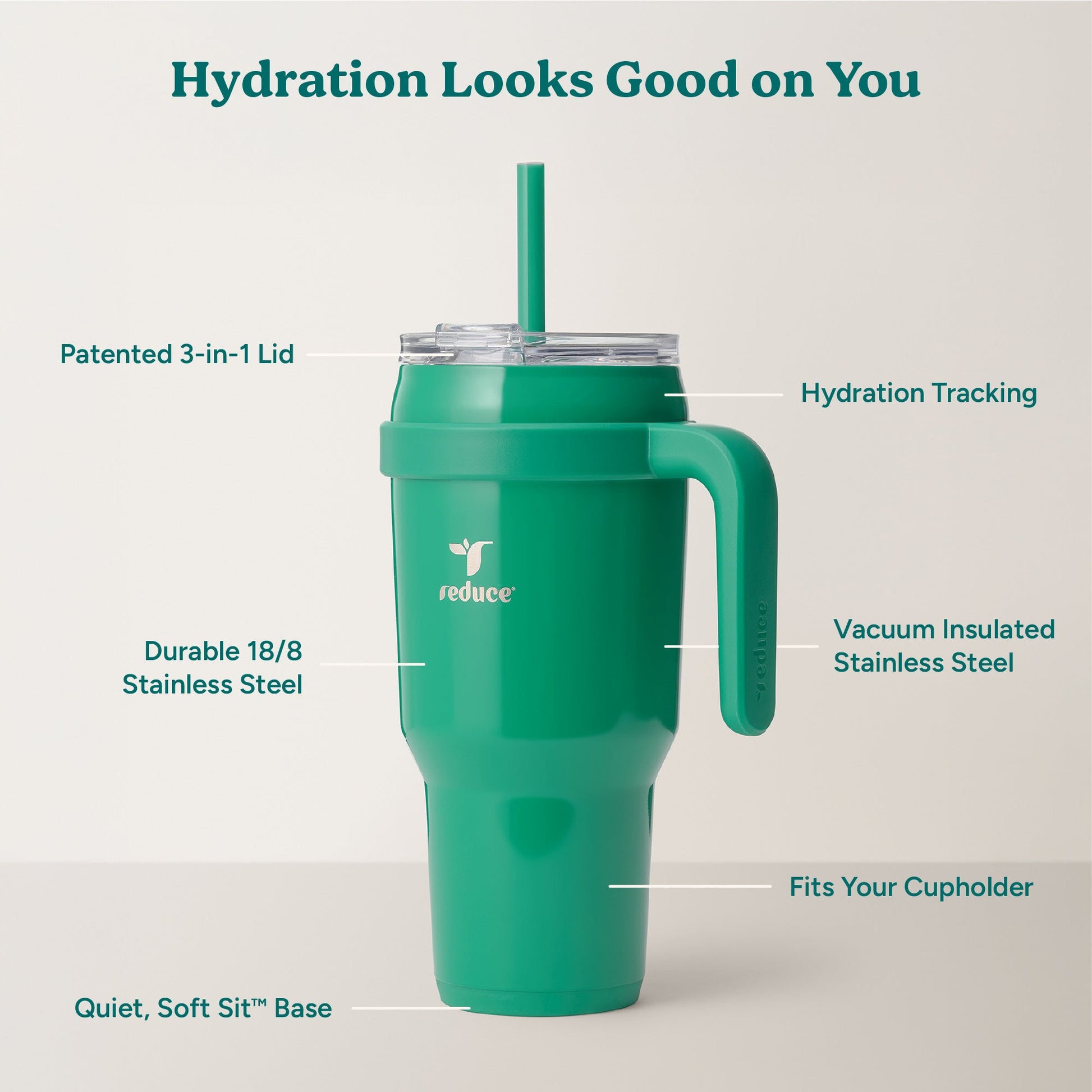 cold1-40-oz-h1 Cold1_40oz_PalmLeaf_Infographic_2.jpg