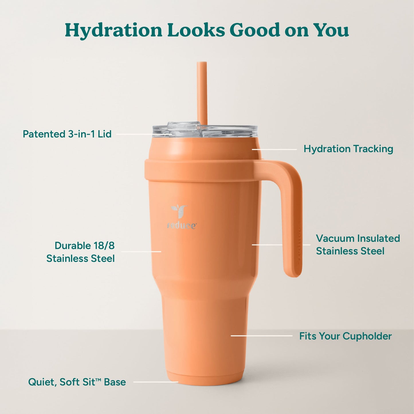 cold1-40-oz-h1 Cold1_40oz_Papaya_Infographic_2.jpg