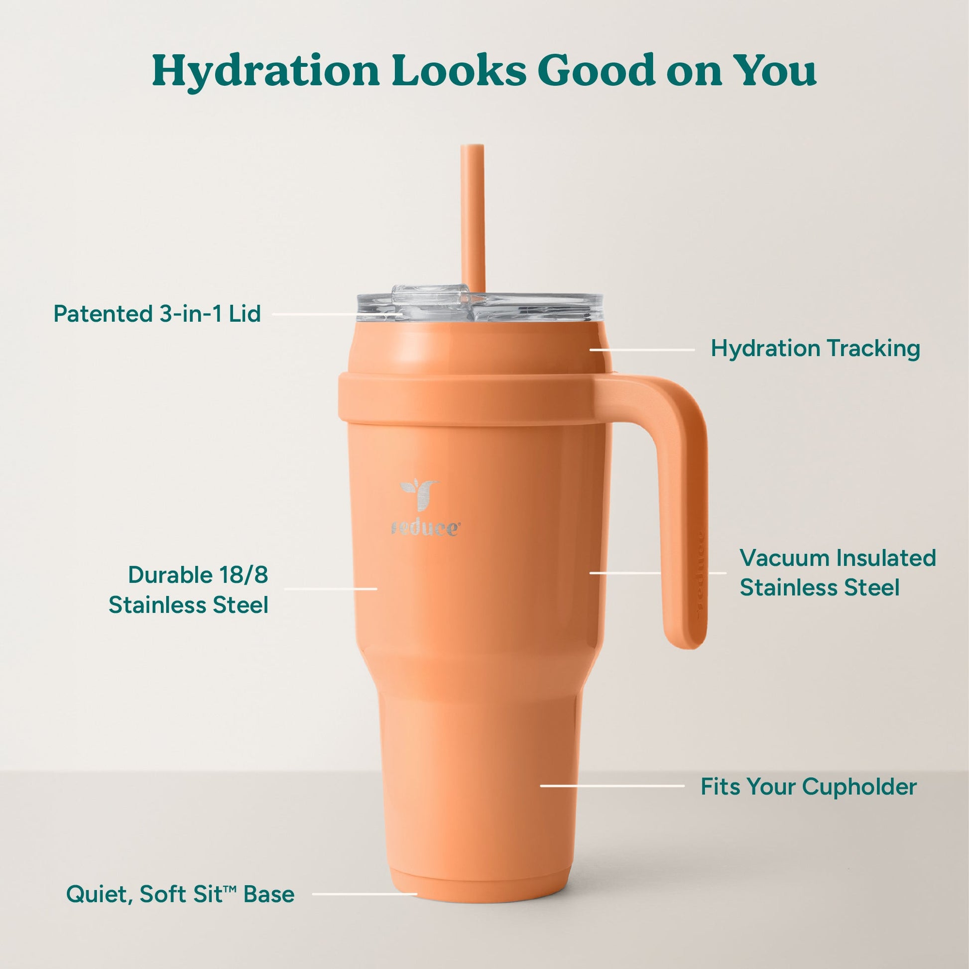 cold1-40-oz-h1 Cold1_40oz_Papaya_Infographic_2.jpg