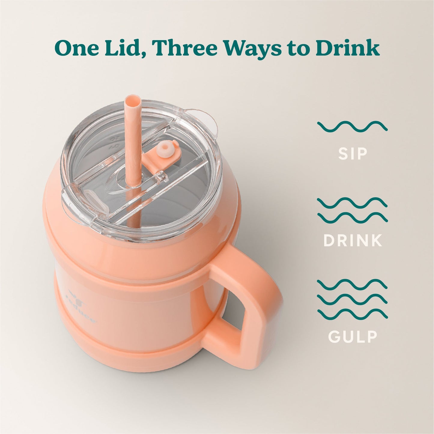cold1-desktop-50-oz-y5 Cold1_50oz_Desktop_Sedona_Infographic_3.jpg
